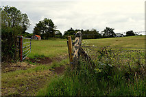 H5472 : An open field, Bracky by Kenneth  Allen