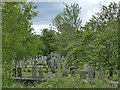 Allenvale Cemetery