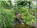 NJ9304 : Duthie Park: waterfall in the winter gardens by Stephen Craven