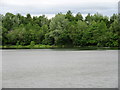 Water, wood and sky