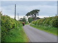 Cyclists on the Roman Road near Sandford