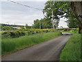 Minor road near South Kirkwood Cottage