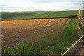 Field at Furze Farm