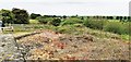 Dried up Royd Moor Reservoir