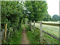 Footpath towards Hosey Common Road