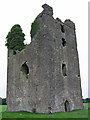 N5008 : Castles of Leinster: Tinnakill, Laois (2) by Garry Dickinson