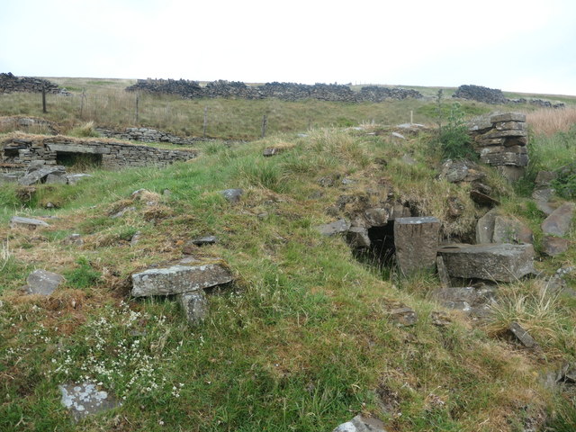 The ruined New Close farmstead [southern part]