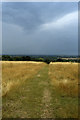 Path south from Danbury Church with thunderstorm over the Thames Estuary