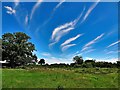 TQ3814 : Field and sky near Whitehouse Farm by Ian Cunliffe