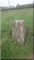 Paudy Cross Roads Trig Point