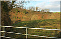 Field and wood by Huntshaw Water