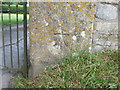 ST7467 : Benchmark on the entrance gate pillar by Neil Owen