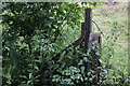 SO6709 : Railway fencepost by John Winder