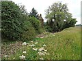 Dried up moat, Stoneton Manor