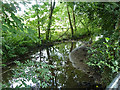 River Darent, Westerham