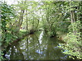 The River Clwyd at Lon Parcwr