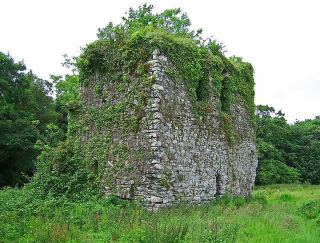 Castles of Munster: Aghamarta, Cork (1)