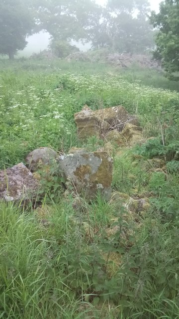 Pile of Stones and Stone Posts in a Misty Field near Raven Craig Wood