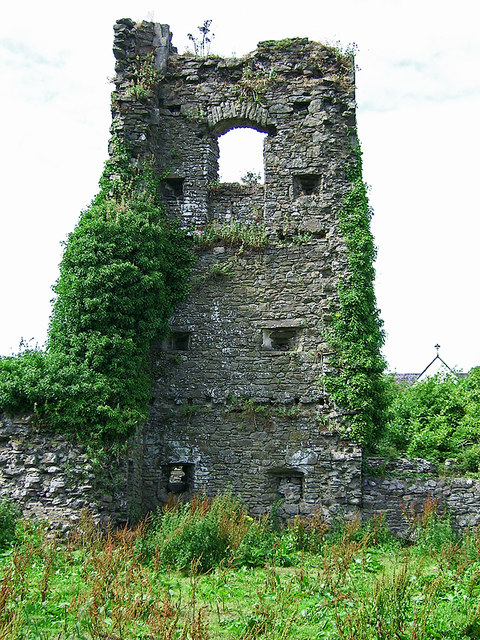 Castles of Leinster: Ballinakill, Laois