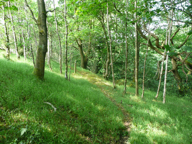 Footpath in Holme House Wood, Fulstone, New Mill