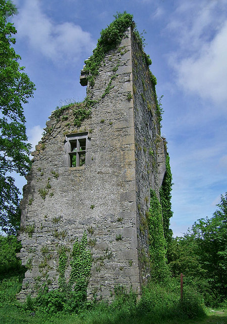 Castles of Munster: Ballinruddery, Kerry (1)