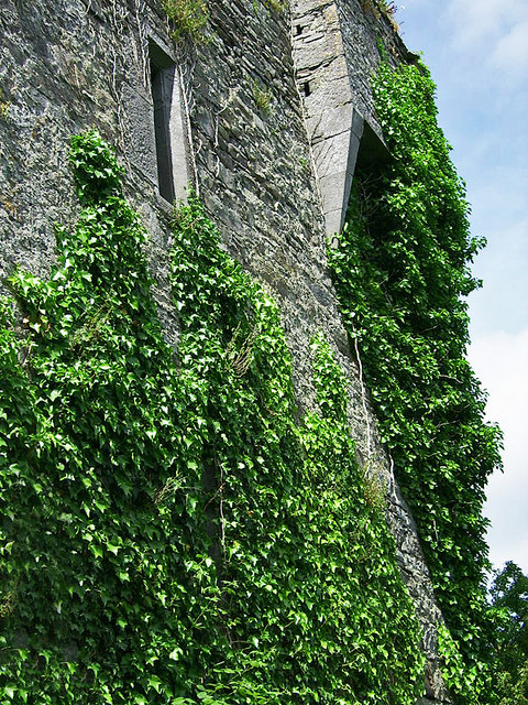 Castles of Munster: Ballinruddery, Kerry (2)
