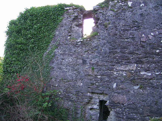 Castles of Munster: Ballycarnahan, Kerry (3)