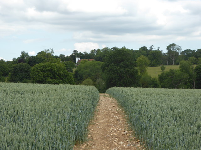 Footpath across a wheat field leading to Doddington