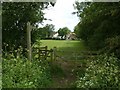 Footpath to Epperstone Mill