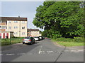 Flats and trees, Hargreaves Drive, Malpas, Newport