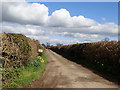 Track leading to Henlle House