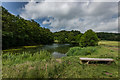 Lake Near Hawksmoor Wood, Staffordshire Way