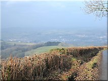 SO1088 : View from Upper Dolfor Road, New Year 2020 by Penny Mayes