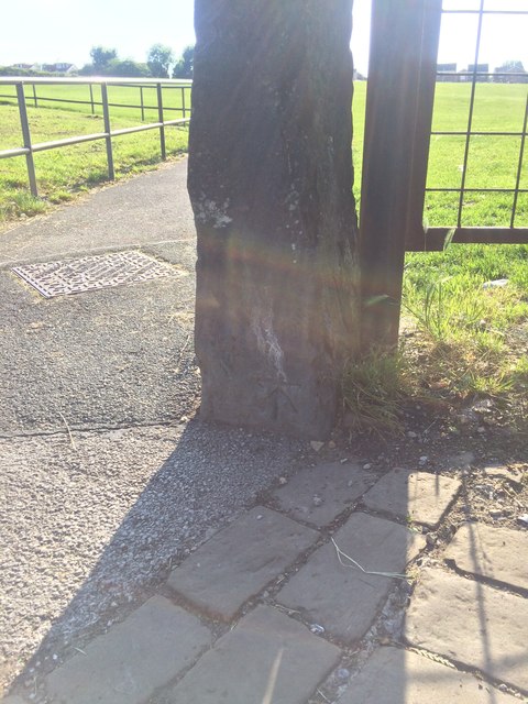 Bench Mark On Gatepost At Park Entrance Littlemoor Road