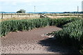 Dry pond at Penallt