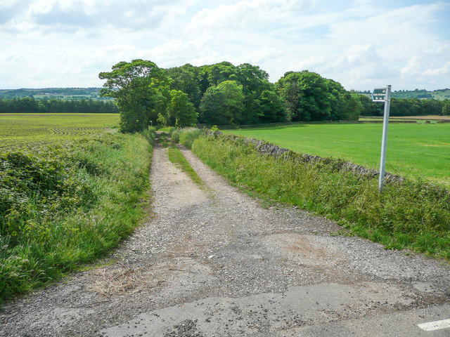 The Rons Cliff bridleway at North Lane, Cawthorne