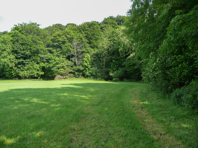 Footpath approaching footbridge into Rons Cliff Wood, Cawthorne 