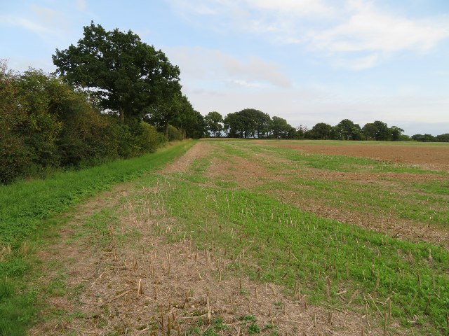 Field boundary - Nurshanger Farm