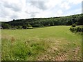 Farmland, below Dolebury Warren