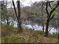 SH6441 : Looking through the trees to Llyn Hafod-y-llyn (Reservoir) by David Medcalf