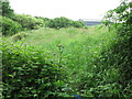 Public Footpath Near Crow Hall Farm