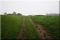 Minster Way towards Westfield Farm