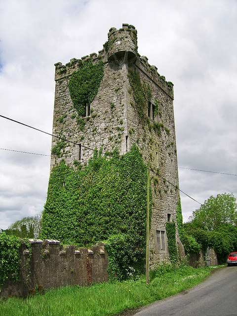 Castles of Munster: Williamstown, Limerick (1)