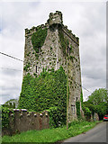 R6147 : Castles of Munster: Williamstown, Limerick (1) by Garry Dickinson