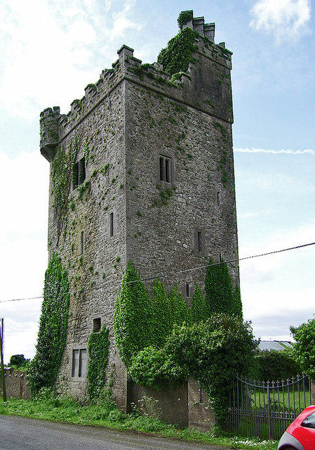 Castles of Munster: Williamstown, Limerick (2)