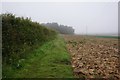 Minster Way towards Westfield Farm