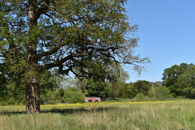 Parkland landscape, Church Road, Swallowfield