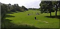 Locharbriggs playing fields
