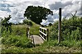 Wortham: Public footbridge