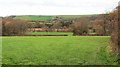 Sheep pasture, Halspill